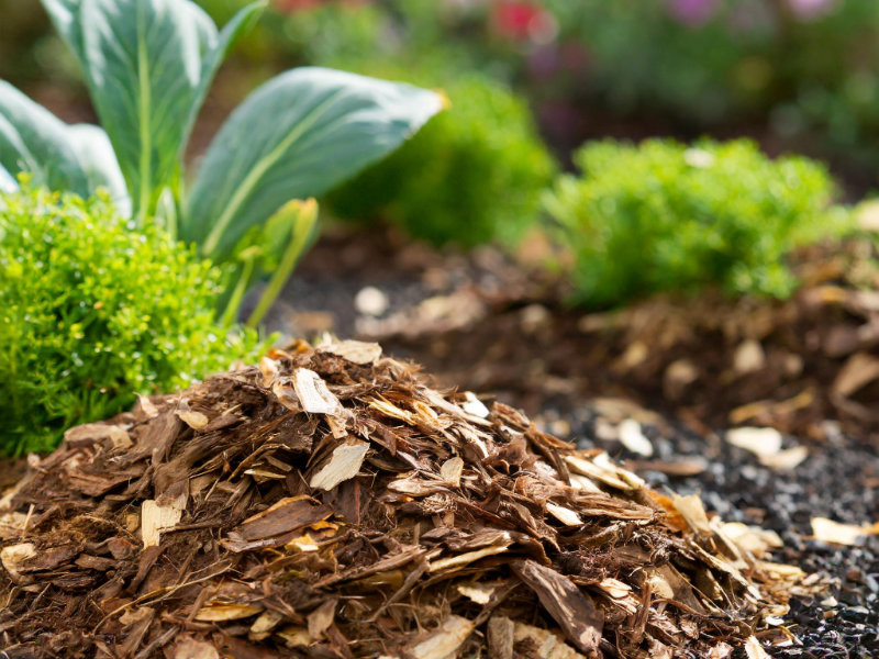 Blog-artikel-mulch-in-garden